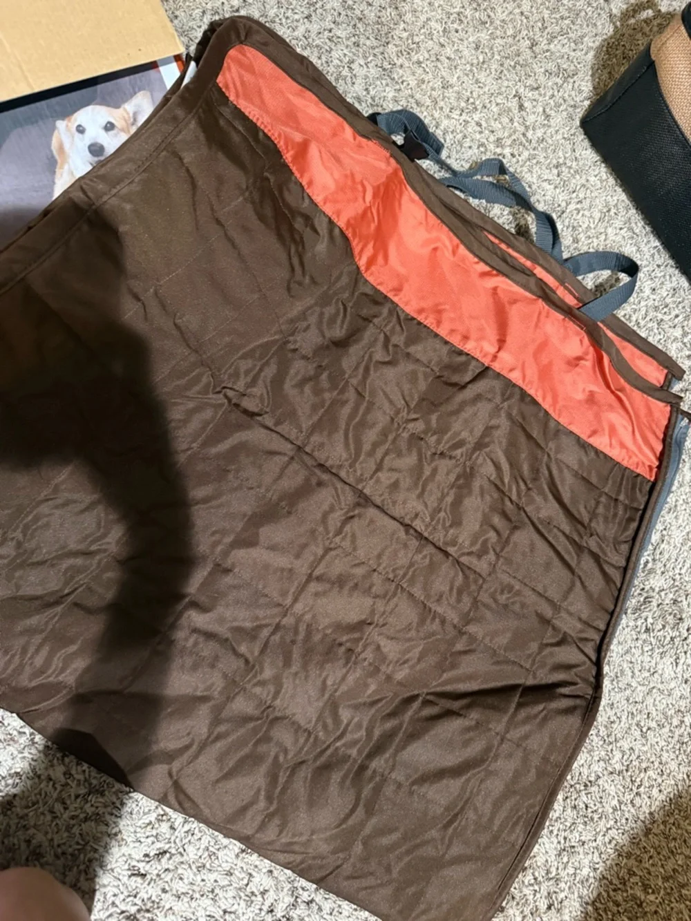 Rear Seat Protector - Orange and Gray